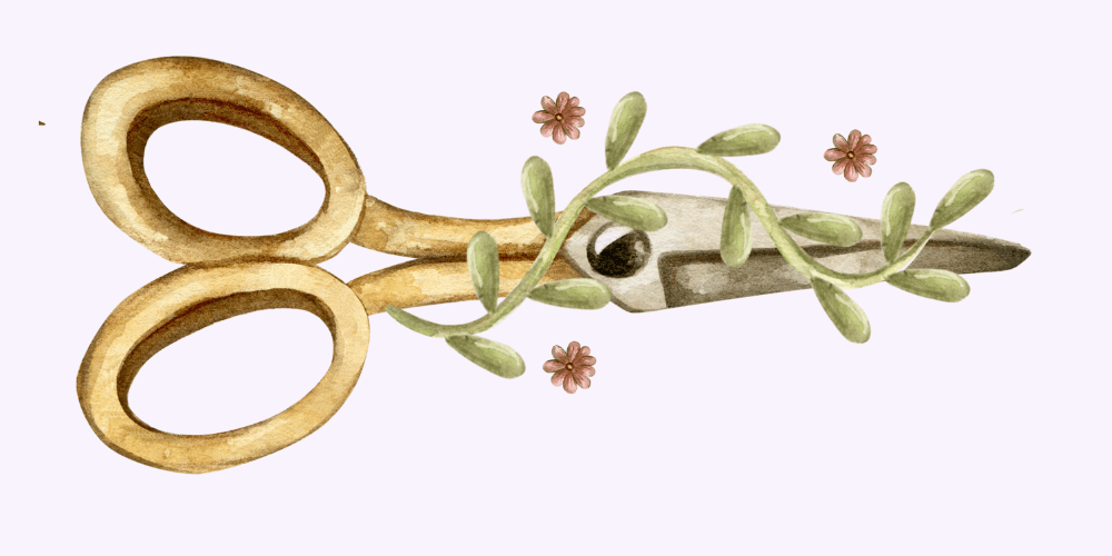 Illustration of Sewing Scissors